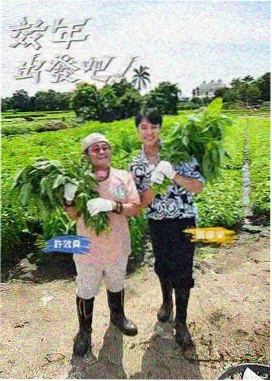 剧场版10票房复盘资讯配图